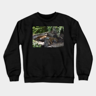 Jaguar Crewneck Sweatshirt